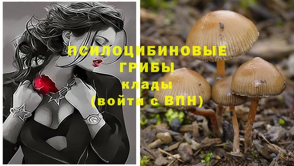 крисы Балахна
