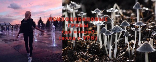 дурь Покровск
