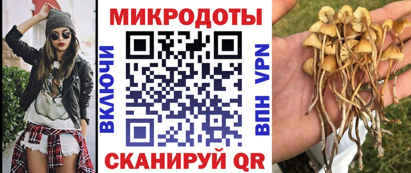 kraken tor где продают Озёры Псилоцибиновые грибы мицелий